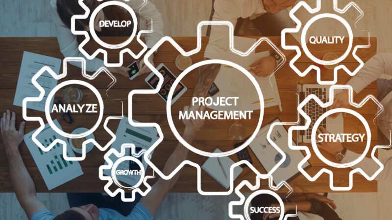 greeNature: Projektmanagement